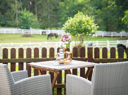 Hotel Gut Vorbeck Sitzplatz mit Ausblick auf die Pferdekoppel